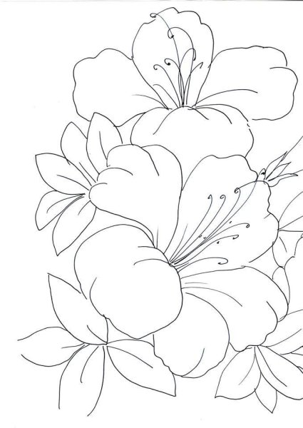 Эскизы цветов для батика