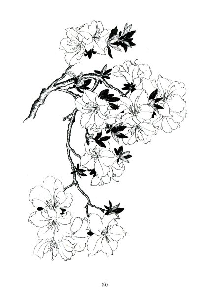 Тату Сакура черно белая