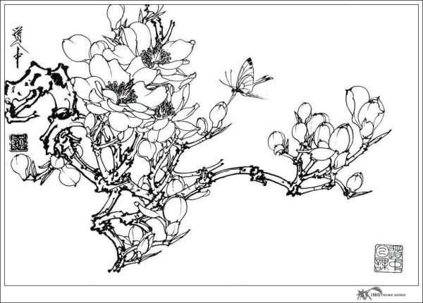 Японские цветы раскраска