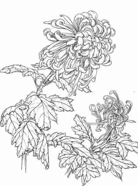Цветы в японском стиле раскраска