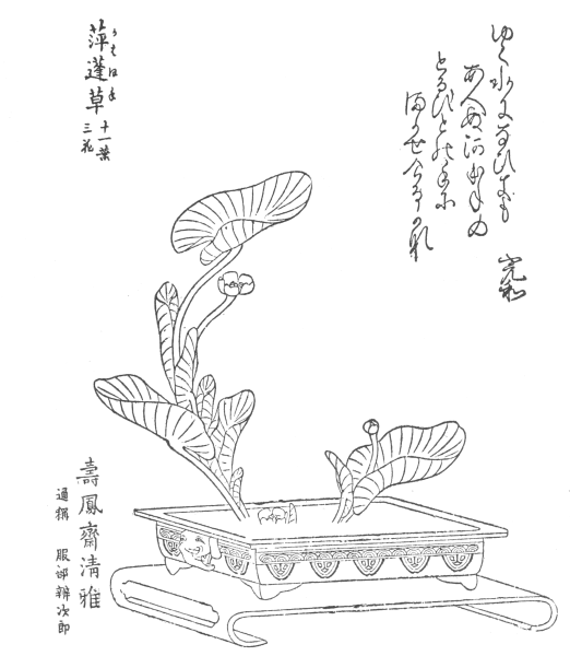 Японская гравюра раскраски