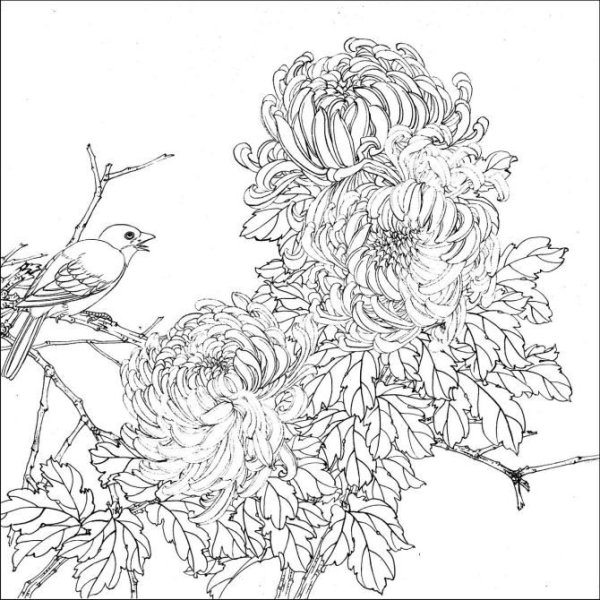Японские цветы раскраска