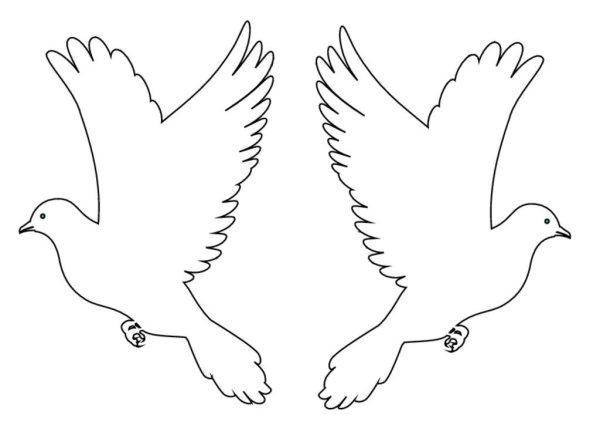 Вытынанка голубь