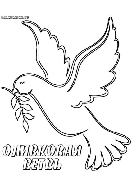 Голубь мира раскраска