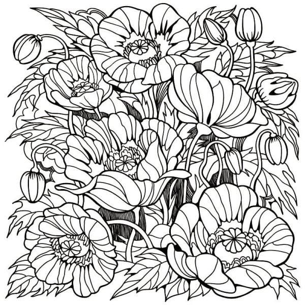 Раскраска антистресс в цвете