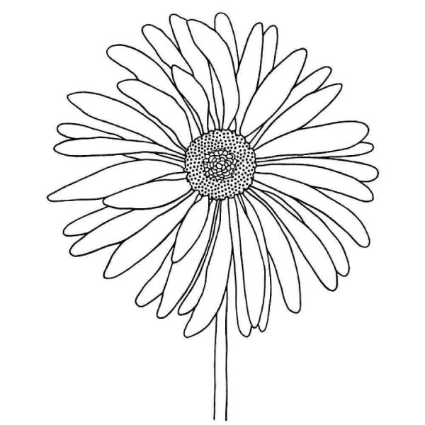 Ромашка раскраска для детей