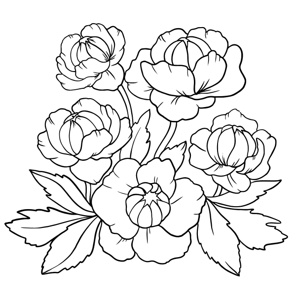 Купальница раскраска