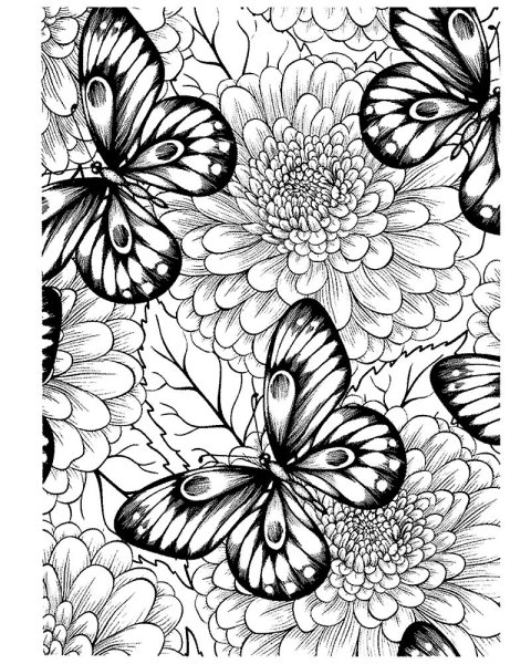 Раскраски Антресс цветы