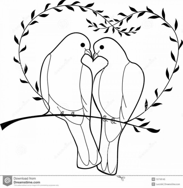 Раскраска два голубя с сердцем