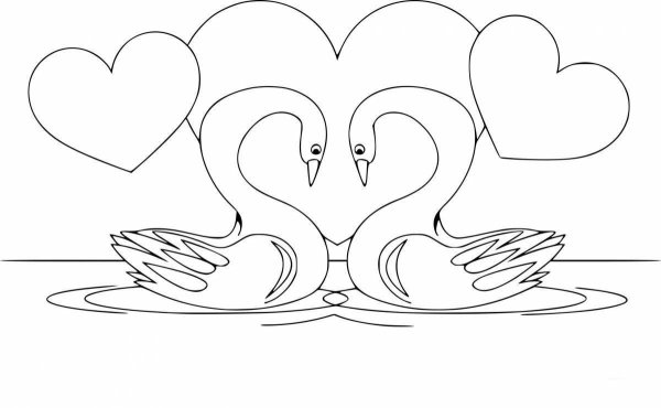 Лебедь раскраска
