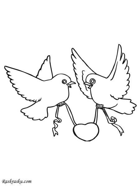 Голубки маленький для раскраски для детей