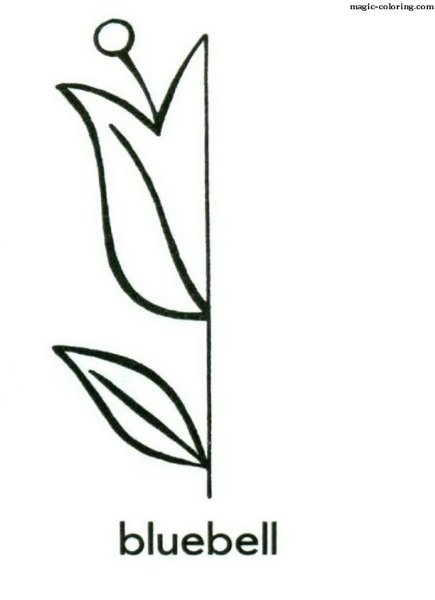 Дорисуй половинку цветка