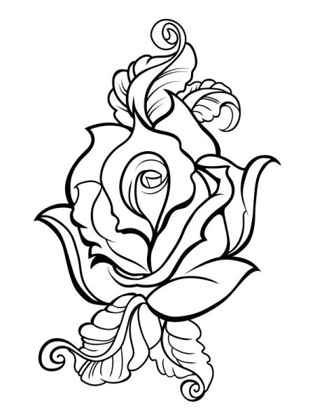 Тату эскиз роза и орнамент