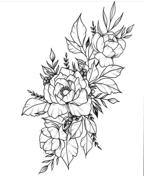 Пионы эскиз