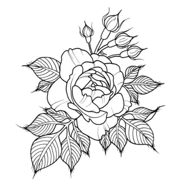 Эскизы рисунков цветов