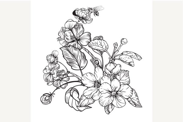 Векторные Ботанические цветы чб