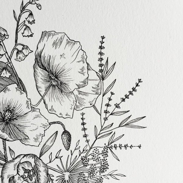 Графические рисунки цветов