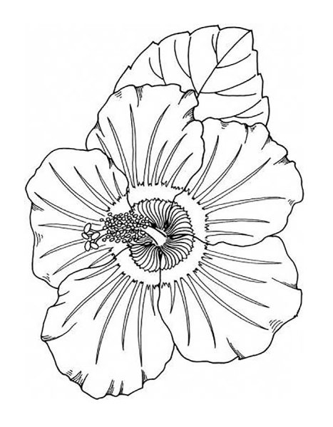 Цветок Мак для вырезания