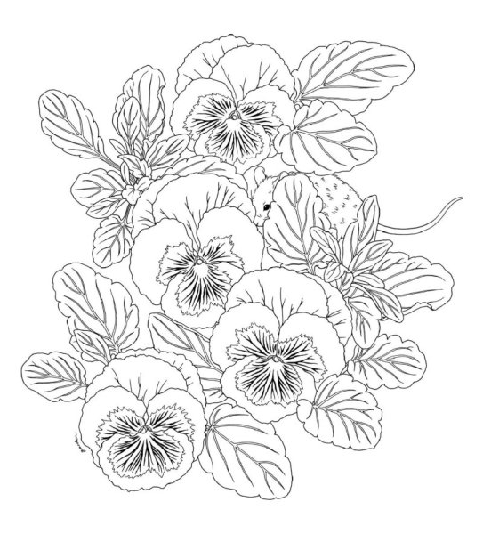 Схема для вышивки гладью цветы Анютины глазки