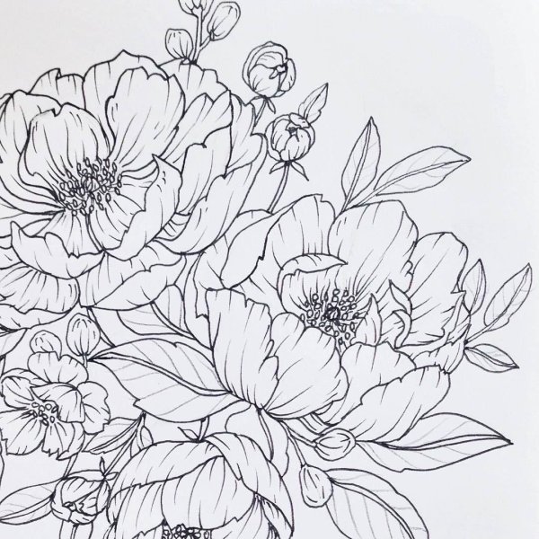 Композиция цветов эскиз