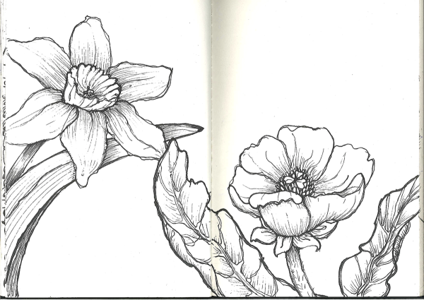 Раскраски скетчинг цветы