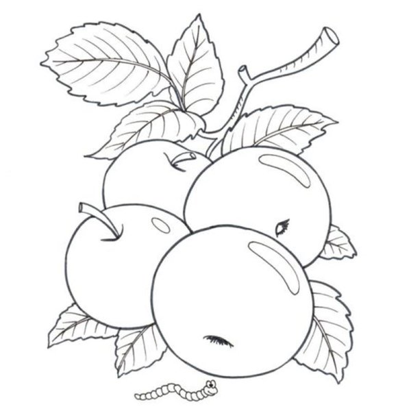 Яблоко раскраска для детей