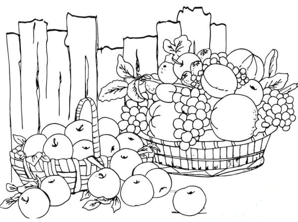 Раскраска. В огороде