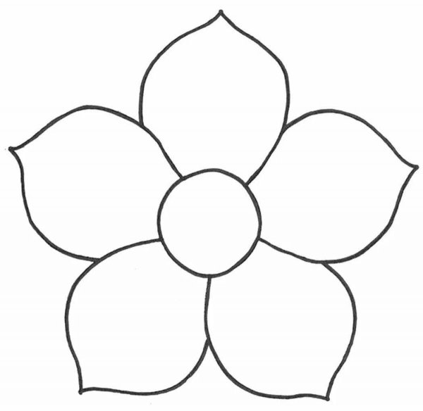 Контур цветов для аппликации