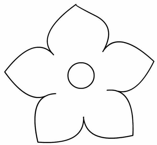 Цветок шаблон