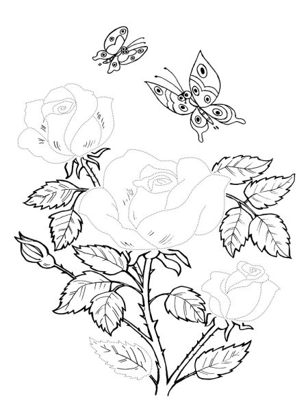 Рисунок по контуру цветы