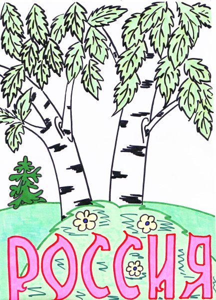 Береза раскраска