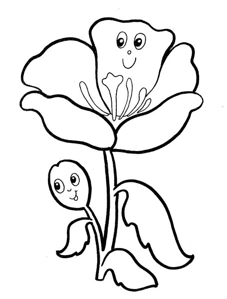 Раскраска Мак цветок для детей