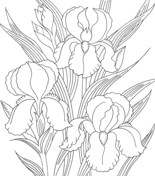 Трафареты цветов для батика