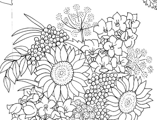 Цветы для раскрашивания красками