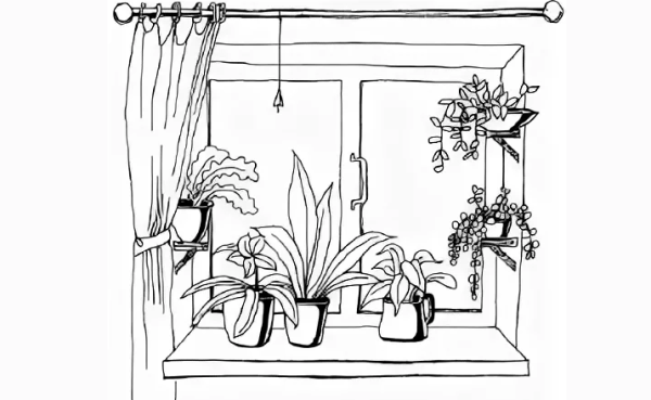 Раскраска комната с растениями