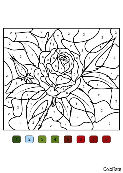 Раскраска по номерам цве