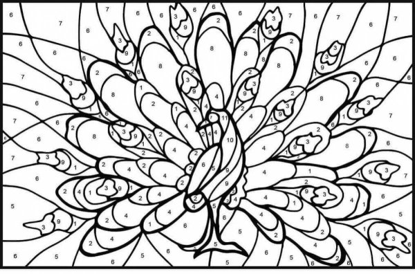 Раскраска по номерам