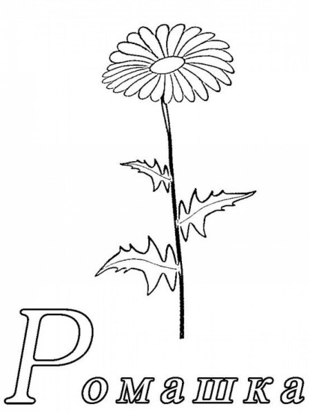 Цветочная Азбука раскраска
