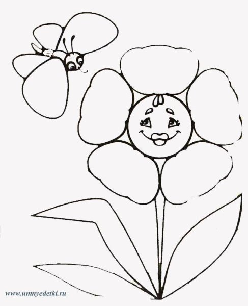 Цветок Цветик семицветик раскраска