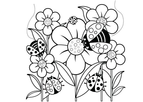 Раскраска Божья коровка на цветке
