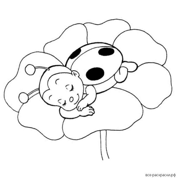 Раскраска для девочек Божья коровка