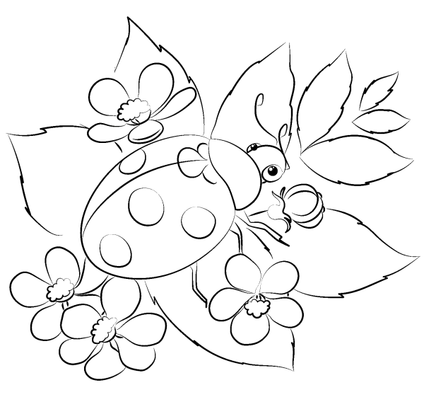 Божья коровка на листике раскраска