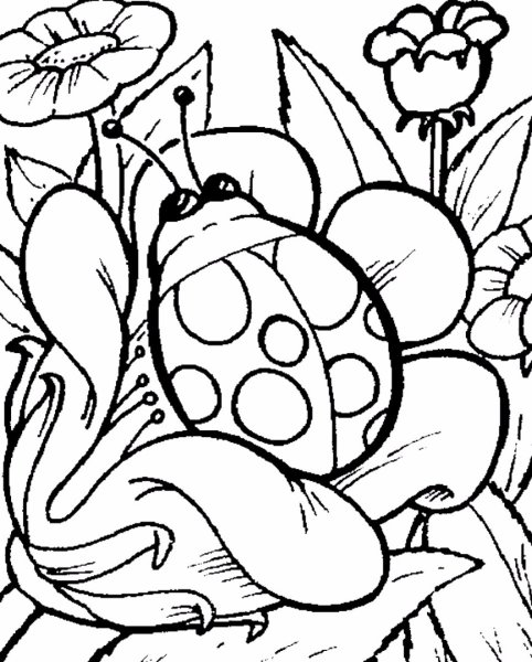 Раскраска природа для детей