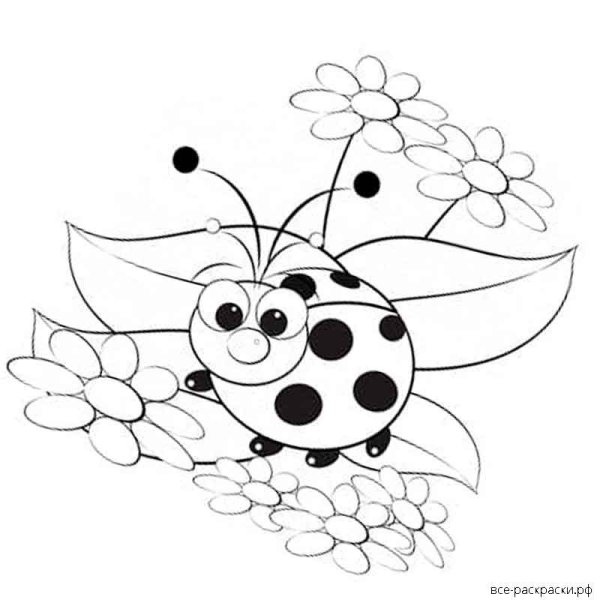 Разукрашки для девочек Божья коровка