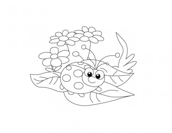 Раскраска Божья коровка на цветке для детей