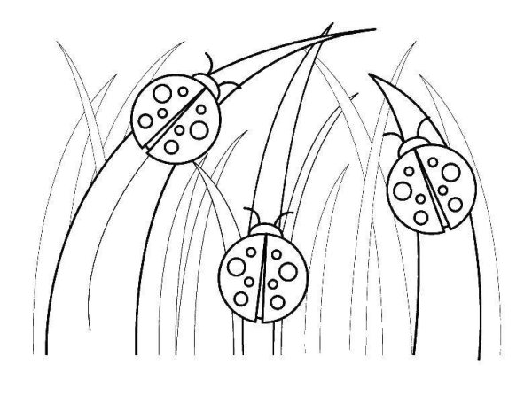 Божья коровка раскраска маленькая