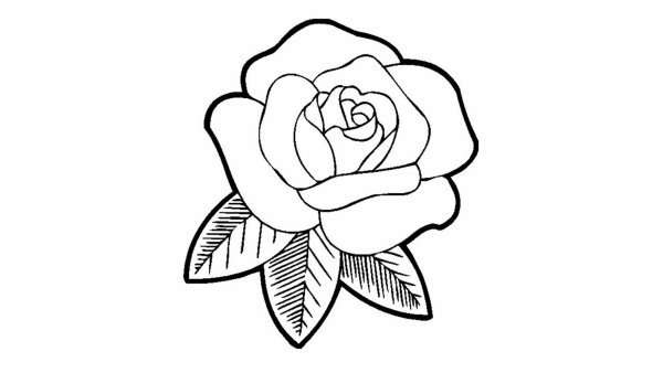 Раскраска цветы маленькие