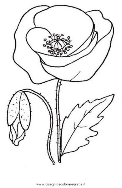 Трафарет мака цветок