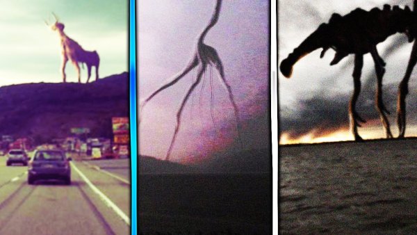 День 17 монстр Тревор Хендерсон