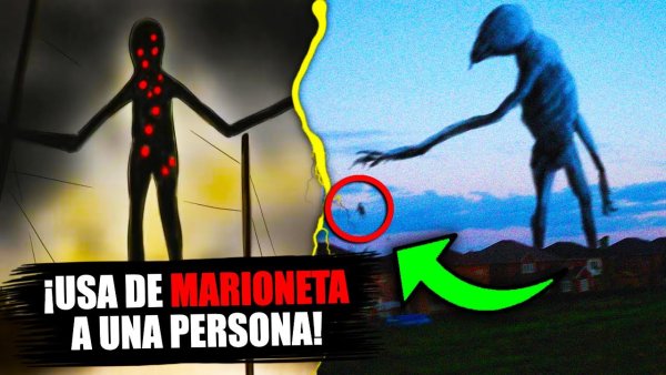 Bird Watcher Тревор Хендерсон